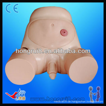 ISO Advanced Male Urethral Katheterisierungsmodell